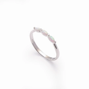 Silver & Stainless Essentials