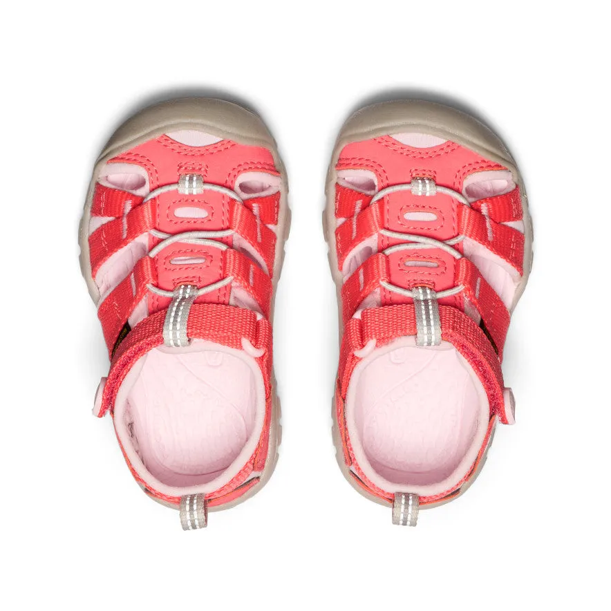Toddlers' Seacamp II CNX  |  Dubarry/Giggle Pink